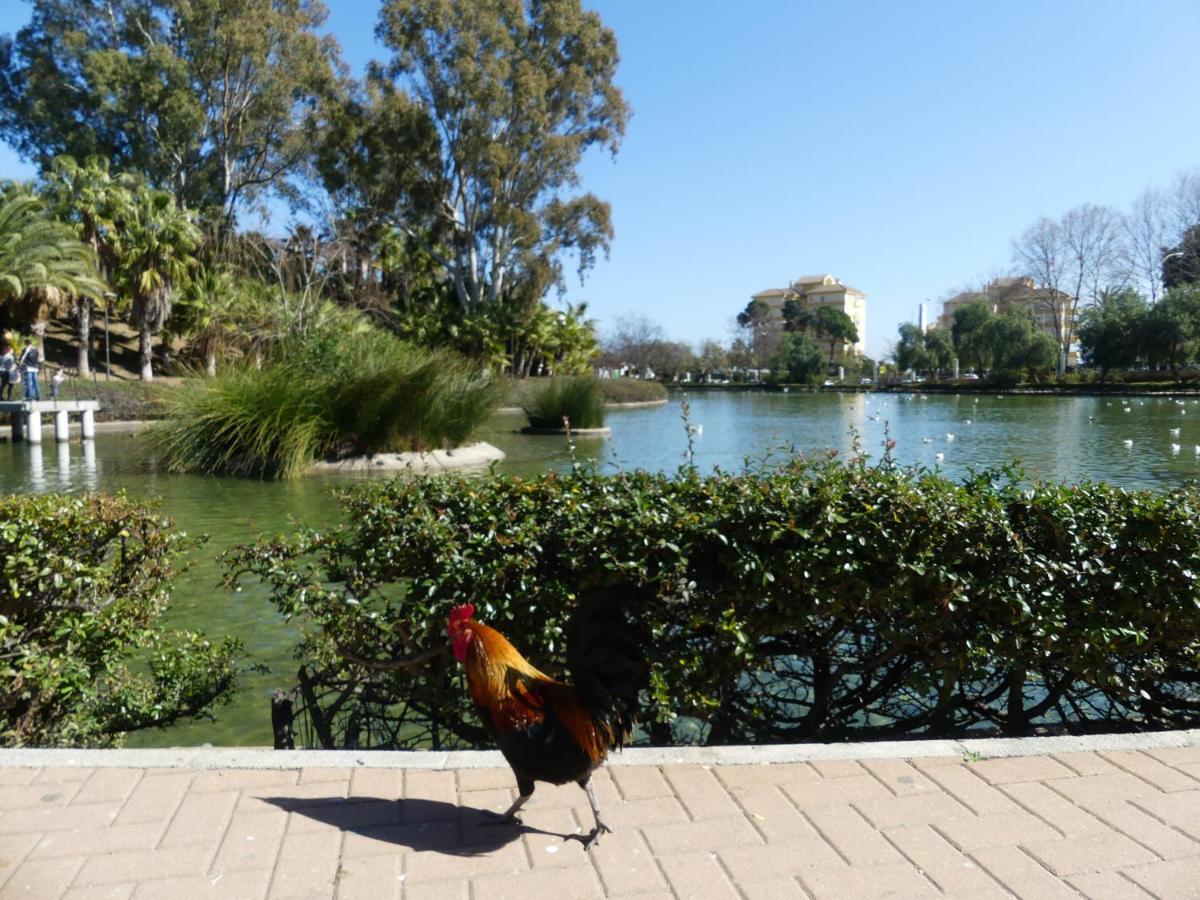 La Carihuela Torremolinos - Studio 3 - Costa Sol Holiday Rentals מראה חיצוני תמונה